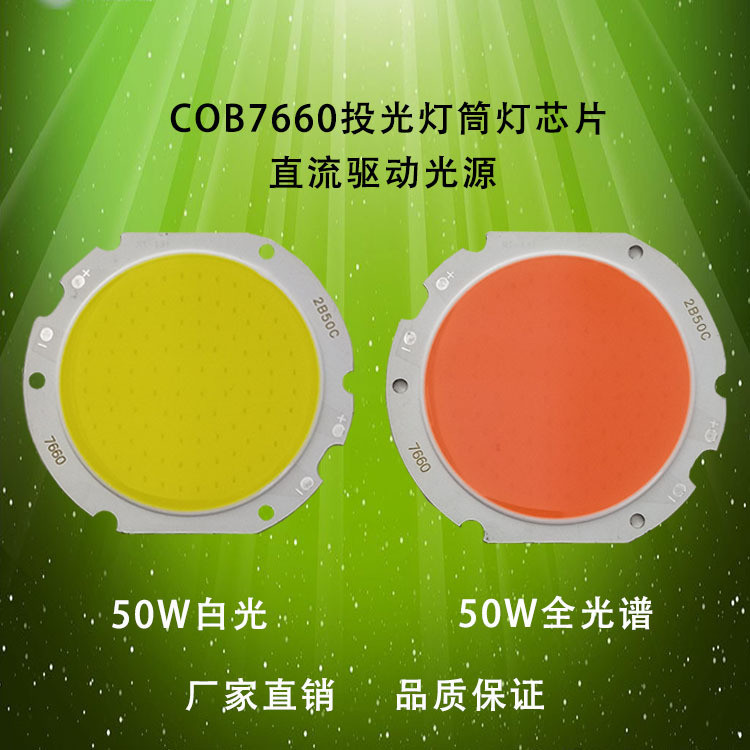 50W COB LED Module 60mm Emitting Surface For Floodlight Downlight