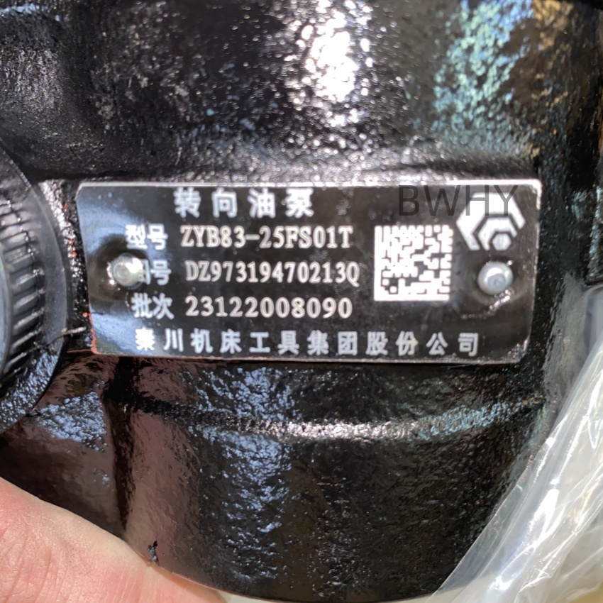 Standard Size and Steering Booster Pump for Sachmann M3000/X3000 OE NO. DZ97319470213