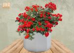 Buy cheap Frosted Clay Plant Pots Homewares Decorative Items Geometric Flower Pots Garden from wholesalers