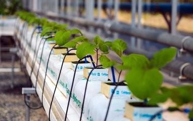 Buy cheap Dropping System Multi Span Greenhouse , PE Diy Hydroponic Greenhouse Gutter Height 3.0-6.0m from wholesalers