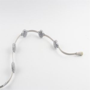 Buy cheap Outdoor DMX512 LED Point Light IP67 Waterproof Smd3535 1.5W RGB DC24V from wholesalers