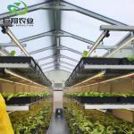 Aluminum Frame Glass Garden Greenhouse Victorian Commercial Greenhouse for