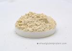Feed Grade Toughness 85% Wheat Gluten Protein