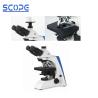 Buy cheap 6V30W Laboratory Biological Microscope Wide Field Eyepiece Comfortable For Observation from wholesalers
