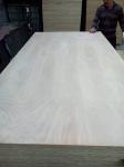 Buy cheap Commercial Plywood/Ordinary Plywood/Fancy Plywood/Veneered Plywood/Decorative Plywood from wholesalers