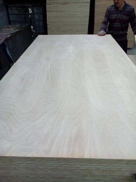 Buy cheap Commercial Plywood/Ordinary Plywood/Fancy Plywood/Veneered Plywood/Decorative Plywood from wholesalers