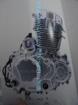 162FMJ NT125 Twin cylinder 4stroke ail cool Vertical Exterior balance shaft