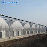 Multispan Plastic Film Greenhouse With Drip Irrigation System Plant Nursery Grow