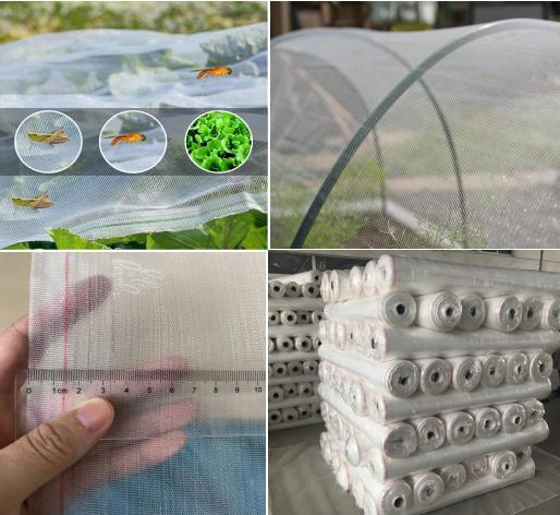 Buy cheap White UV Treated Agriculture Insect Net 6M Plastic Anti Insect Netting from wholesalers