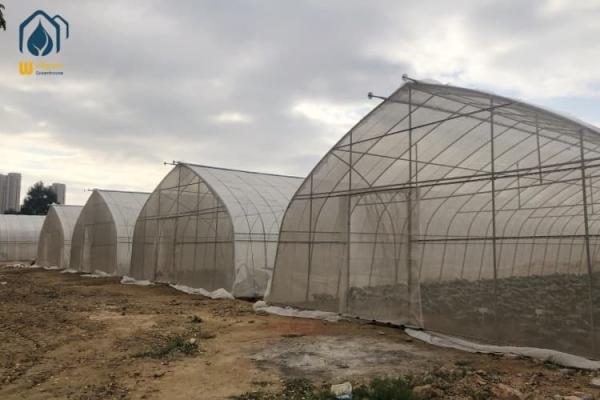 Buy cheap PE PO Film Tunnel Greenhouse Commercial Agricultural Greenhouse Customizable from wholesalers