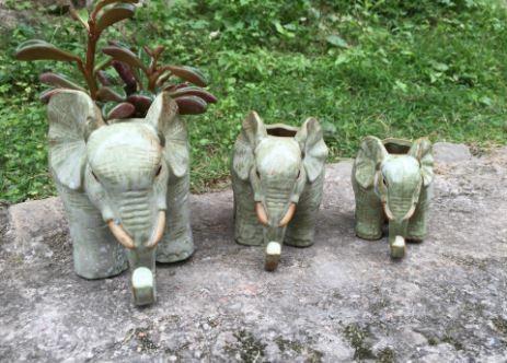 Buy cheap Succulent Creative Animals Wild Elephant Plant Flowerpots from wholesalers