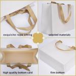 Custom Logo Matt Paper Clothing Packaging Gift Paper Bag With Ribbon Handle For