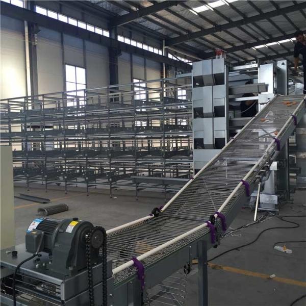 Buy cheap Anti Corrosion Steady Automatic Egg Collection System Low Energy Consumption from wholesalers