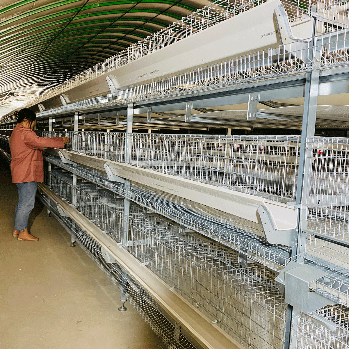 H Type 3/4 Tiers Chicken Poultry Cage Hot Galvanized Silver Color