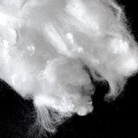 Buy cheap Bicomponent Ethylene Propylene Side By Side Fiber 2D×38mm Raw White Color product