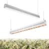 Buy cheap Anti Heavy Moisture Horticulture Grow Lights , Indoor And Outdoor Led Grow Lights from wholesalers