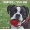 Buy cheap TPR Soft Rubber Squeaky Dog Ball Blue Yellow Red from wholesalers