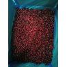 Buy cheap HACCP IQF Frozen Sweet And Delicious Wild Frozen Fruit from wholesalers