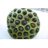 Buy cheap Lotus seed Extract 10:1 TLC Stand against insomnia, 100% natural ingredients or healthcare, Chinese manufacturer from wholesalers