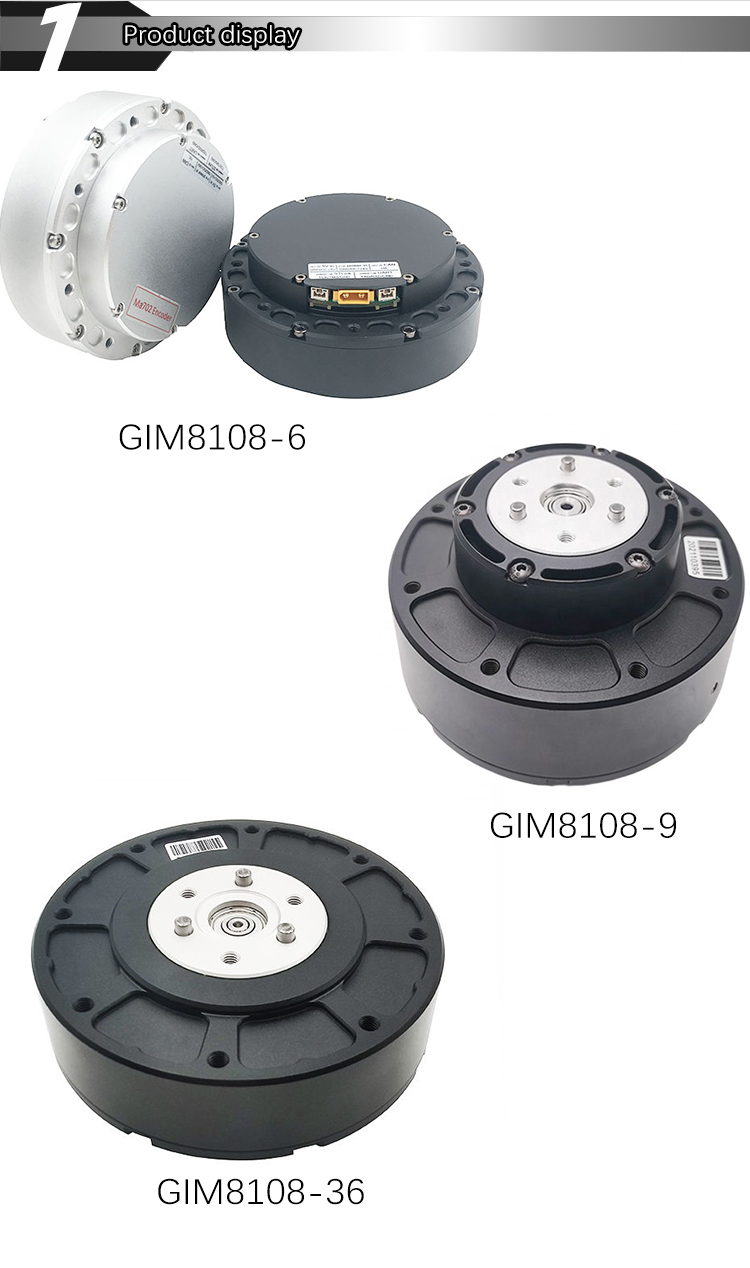 Faradyi Customized Scooter Electrica 1000W Doble Motor Outdoor Blinds Motorized Roller Waterproof 12V High Torque Dc Motor