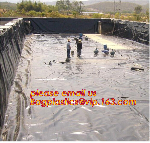 eco-friendly hdpe geomembrane liner geomembrane price,eco-friendly hdpe geomembrane liner waterproofing membranes BAGEAS