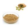 Buy cheap Rhodiola Rosea PE Plant Extracted Powder Chinese Medicine from wholesalers