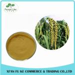 100% Pure Natural Non GMO Kosher Halal Certified 10:1 Purple Corn Seed Extract