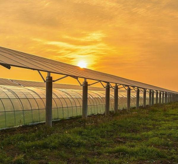 Buy cheap Building Materials Steel Structure Multi-Span Arch Type Photovoltaic Greenhouses jx-SG-9 from wholesalers