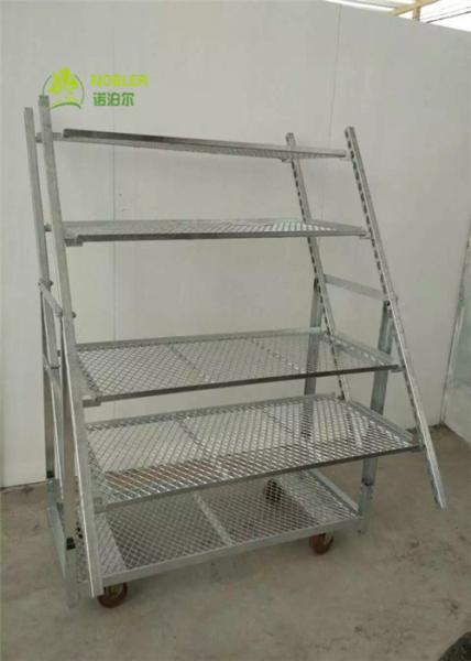 Buy cheap Nursery Plant Net Layer Cart Dutch Trolleys Display 22*54*74.8 Inch from wholesalers