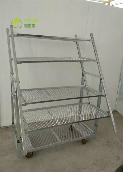 display Danish trolley From China Are Specially Used For Dutch Flower Planting