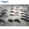 Buy cheap 2 Tons Ice Plate Maker with Plate Ice Shape Stainless Steel/Galvanized Steel from wholesalers