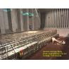 Buy cheap Anti Corrosion Tin Free Steel Sheets For Bottom Of Food Cans Eco Friendly from wholesalers