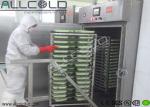 Stainless Steel Chamber Vacuum Cooling Equipment For Cooked Foods / Rice / Bread