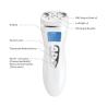 Buy cheap RF1312 EMS Fitness Machine , Rf Skin Tightening Device 4 Hours Charging Time from wholesalers