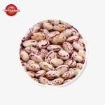 Speckled Butter Canned Food Beans 400g-3000g Pure Natural Flavor