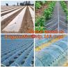 Buy cheap 100% new LDPE green house plastic clear covering film,anti drip tomato Hydroponics agricultural plastic film from wholesalers