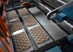 Pulp Paper Fruit Tray Production Line / Apple Tray Making Machine
