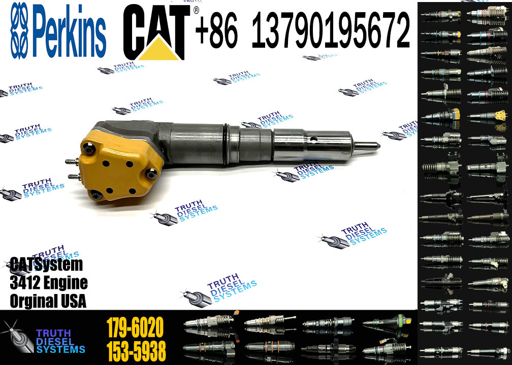 Common rail diesel fuel injector 179-6020 222-5966 173-9268 198-7912 232-1168 156-3895 204-2467 232-1167