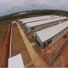 Buy cheap Galvanized Steel Frame Chicken House Bolts Connection Steel Structure Poultry Sheds from wholesalers