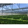 Buy cheap PE/Po Plastic Film Photovoltaic Greenhouse Innovation 1209.00cm * 235.00cm * 239.00cm from wholesalers
