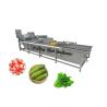 Buy cheap 3.75KW Fruit And Vegetable Cleaning And Disinfecting Machine 1 Year Warranty from wholesalers