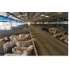 Buy cheap Painted Prefabricated Cow Shed Steel Structural Fabrication Construction For Horse Stable from wholesalers