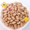 Buy cheap Kosher Halal Certified Coated Roasted Spicy Yellow Edamame Soya Bean Snacks ISO Approved from wholesalers