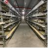 Buy cheap H Type Complete Automatic Broiler Chicken Cage 4 Tiers Good Elasicity from wholesalers
