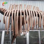 weather reistance Real Size Replica Animal Skeletons Mammuthus Model