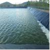 Buy cheap Black Geomembranes for Agricultural Ponds HDPE Geomembrane in South Africa's Market from wholesalers