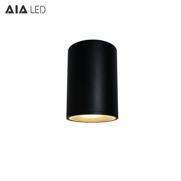 IP65 waterproof ceiling mounted 10W ceiling light COB LED downlight&exterior LED