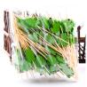 Buy cheap OEM Disposable Bamboo Sticks For Fruit / Sushi / Sandwich from wholesalers