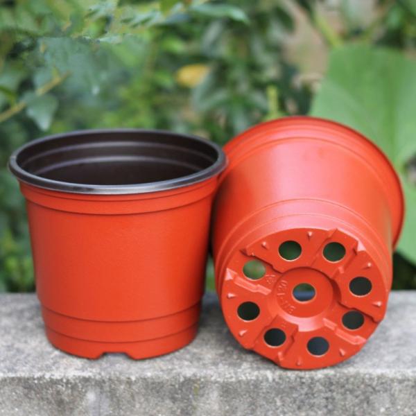Buy cheap 15cm Top Dia Disposable Plastic Flower Pots Cactus 5 Gallon Planter from wholesalers