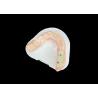 Buy cheap PFM Dental Crowns Lifelike and Corrosion Resistant for Optimal Oral Health from wholesalers